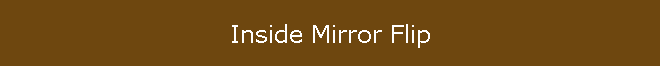 Inside Mirror Flip