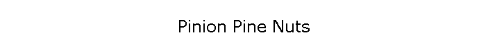 Pinion Pine Nuts